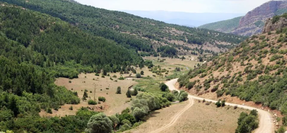 Tersun Barajı proje sahasının bulunduğu vadi